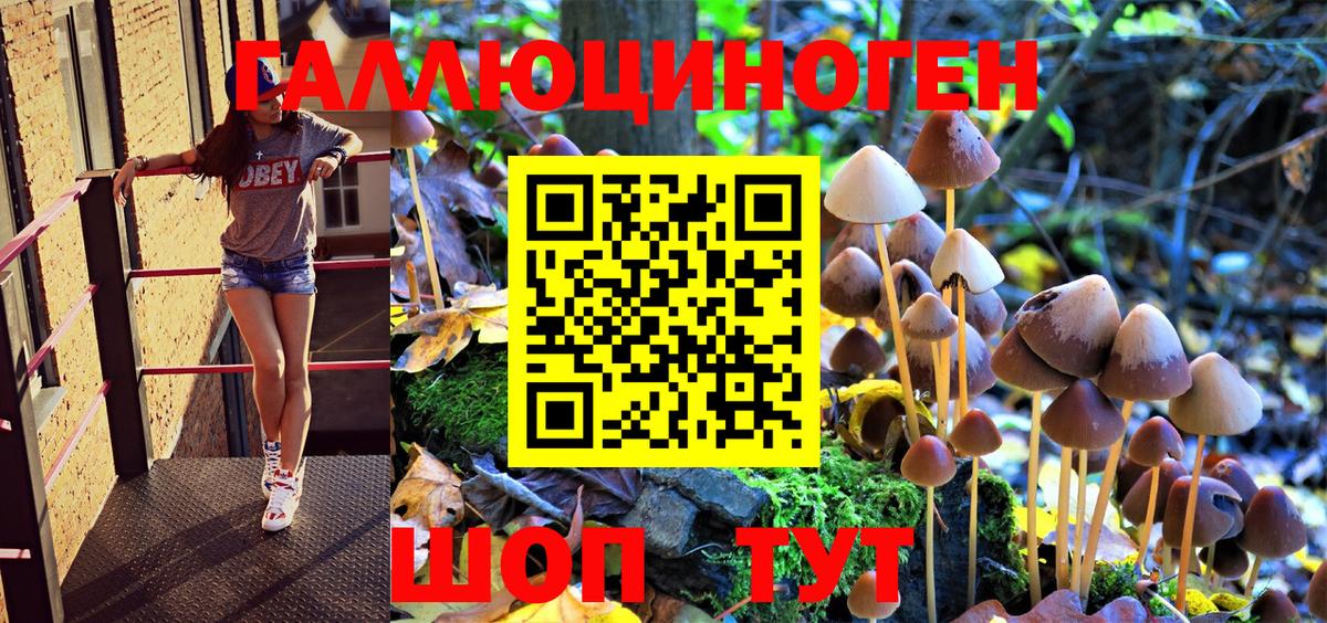 Псилоцибиновые грибы MAGIC MUSHROOMS  Псилоцибиновые грибы мухоморы  Новосибирск  Вход с VPN 