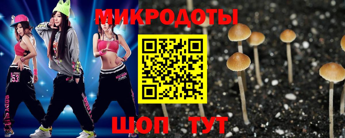Галлюциногенные грибы MAGIC MUSHROOMS Новосибирск
