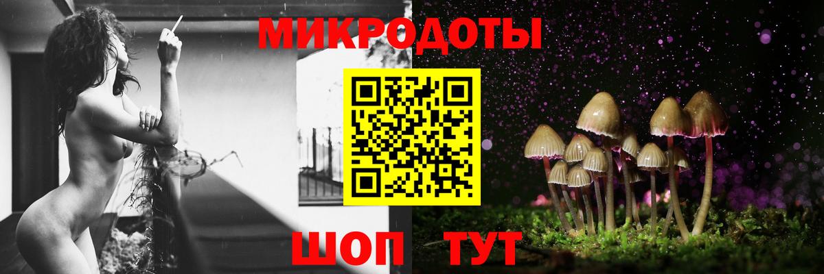 ГАШ Новосибирск