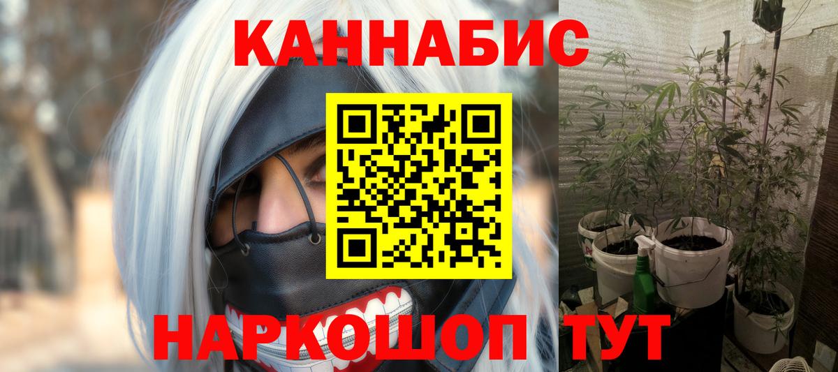 Бошки марихуана марихуана  Шишки марихуана OG Kush  Новосибирск  Вход с VPN  Бошки марихуана сатива  Каннабис планчик 